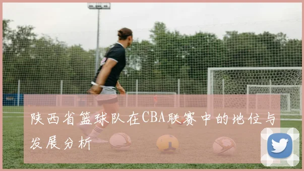 陕西省篮球队在CBA联赛中的地位与发展分析